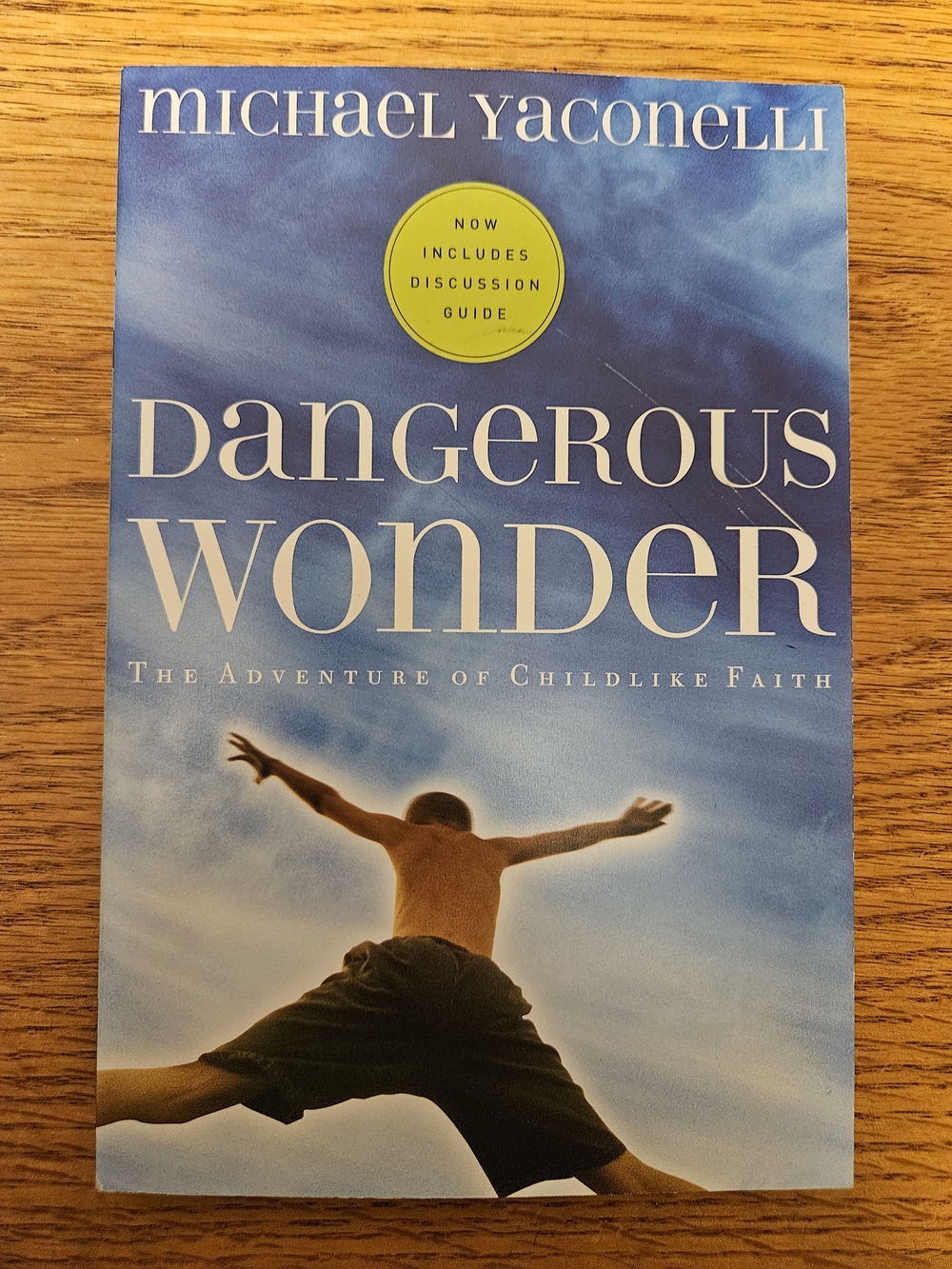 🛍 2/$6 🛍 Dangerous Wonder By Michael Yaconelli